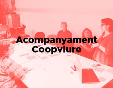 En què consisteix un acompanyament durant el procés de cohabitatge? Cas pràctic: Coopviure