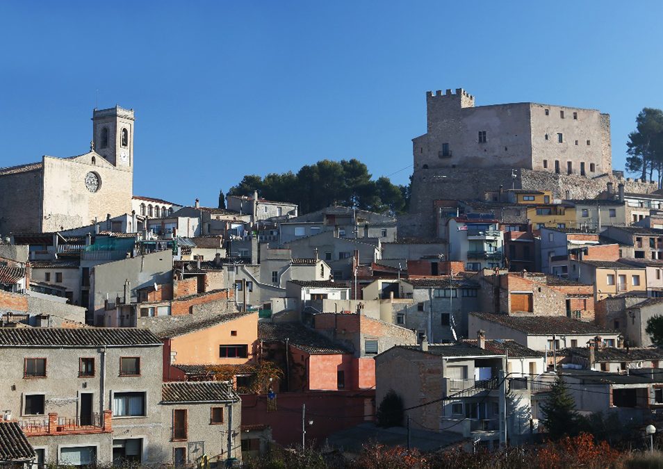 Una masia a Sant Martí de Tous, Cohabitatge Sènior