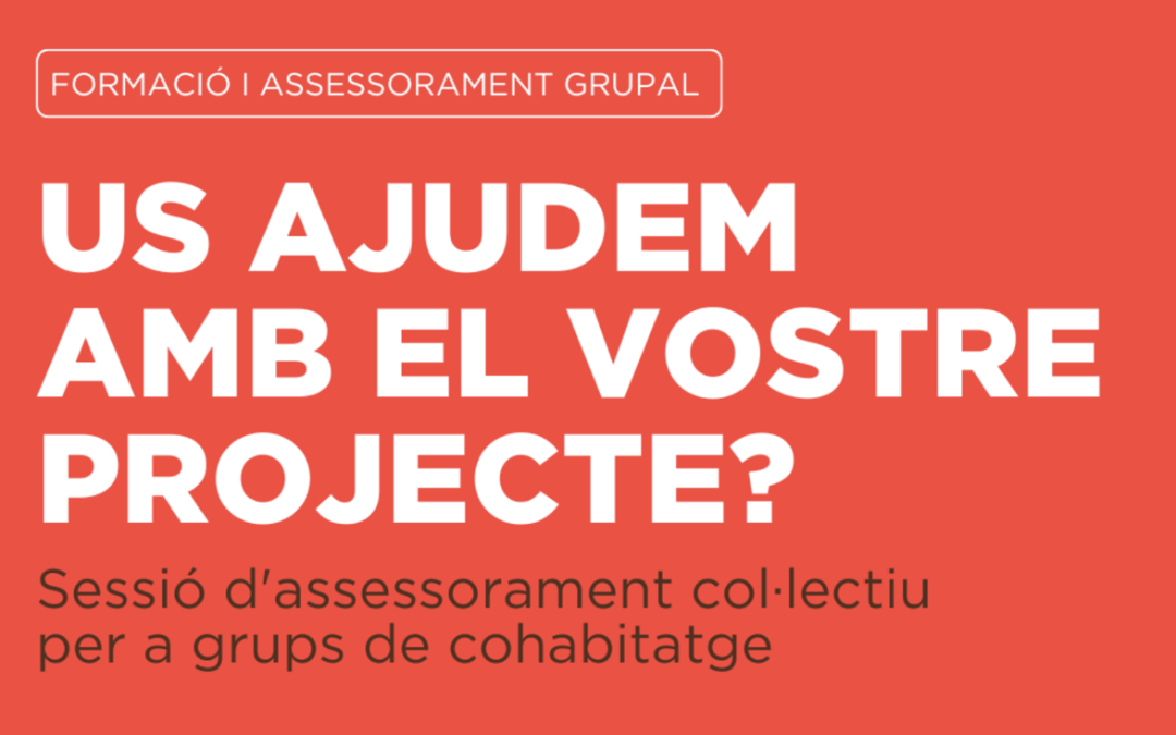 El 19 de maig, nova sessió d’assessorament col·lectiu per a grups de cohabitatge